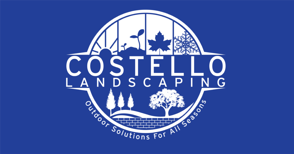 costello-blue-nocoopy